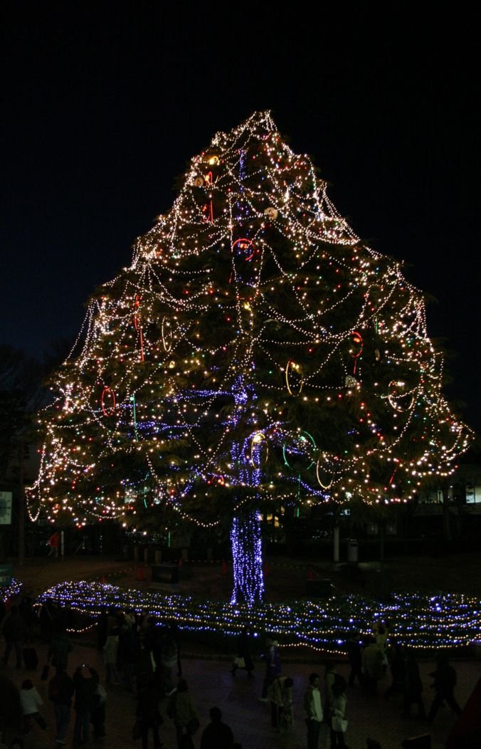 🏇 나카야마 경마장 이미지 13